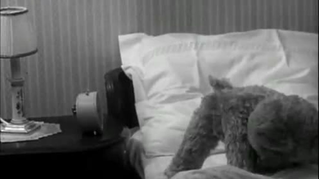 Bamse – De första äventyren (1966) DVDRIPPEN (Svenska) Avsnitt 1 Del 6 Av 6
