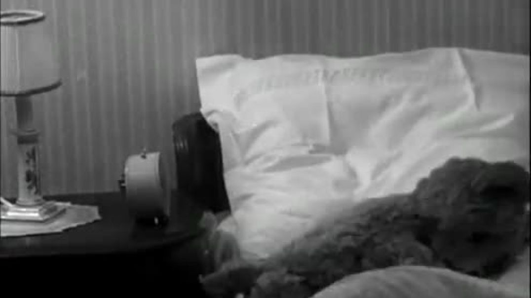 ⁣Bamse – De första äventyren (1966) DVDRIPPEN (Svenska) Avsnitt 1 Del 2 Av 6