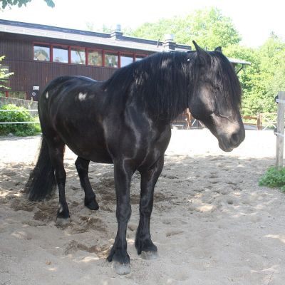 Skansen (Sverige)